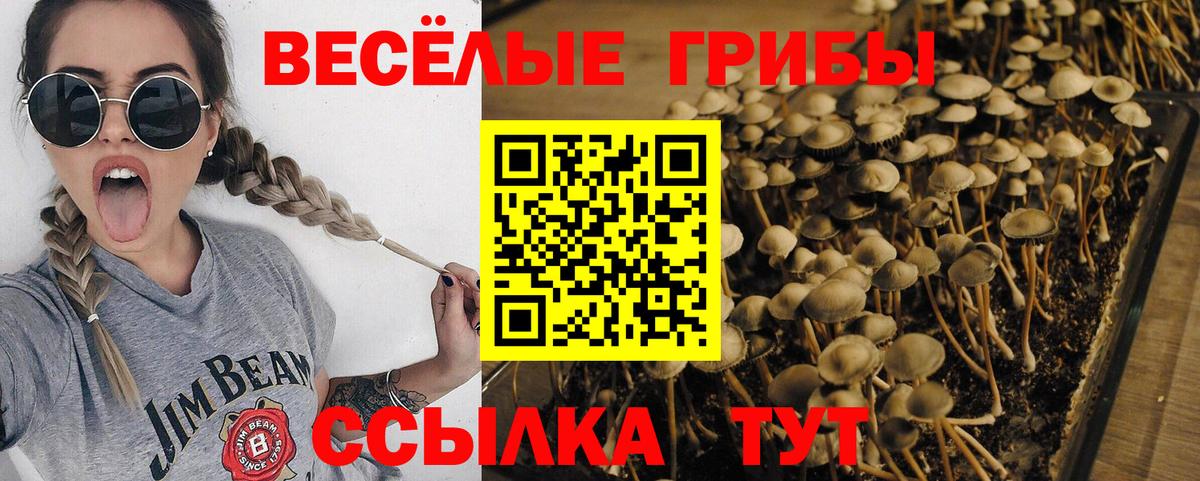 даркнет сайт  Псилоцибиновые грибы мухоморы  Вход с VPN  Минеральные Воды 
