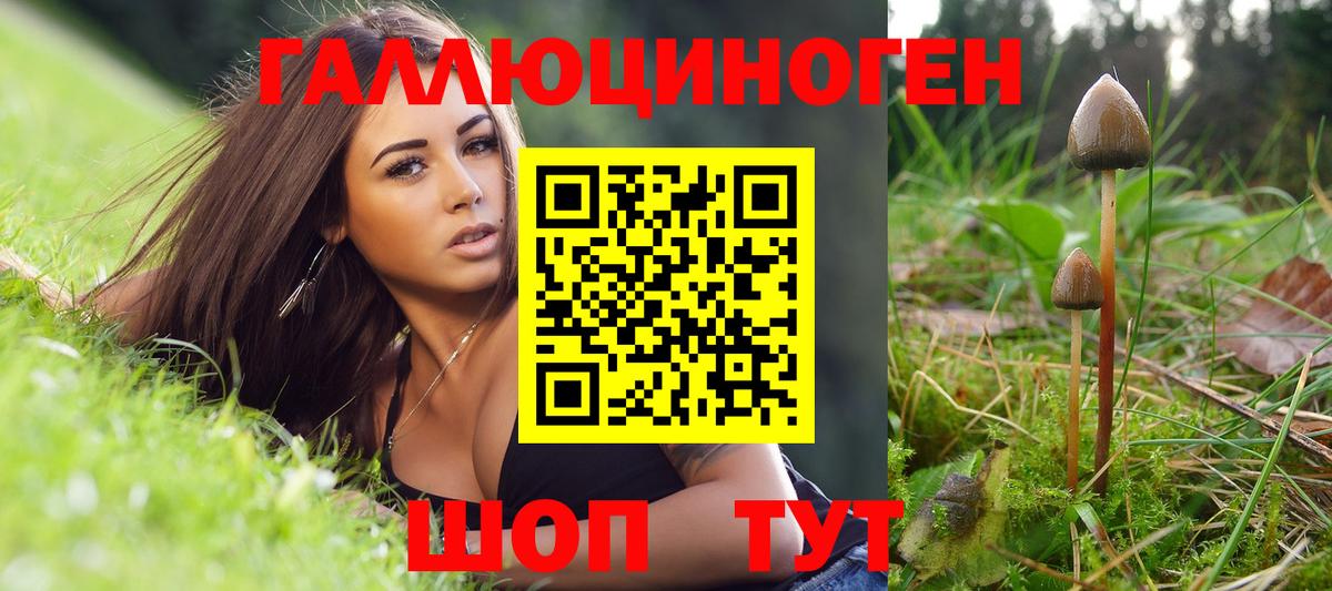 Псилоцибиновые грибы Psilocybine cubensis Минеральные Воды